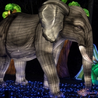 event_light_nights_magic_forest_2022_030