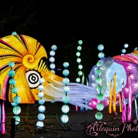 event_light_nights_aqualuna_2022_029