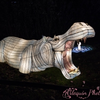 event_light_nights_aqualuna_2022_036