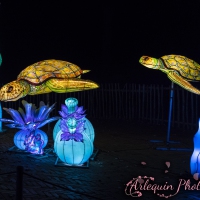 event_light_nights_aqualuna_2022_038