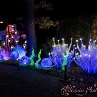 event_light_nights_aqualuna_2022_039