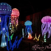 event_light_nights_aqualuna_2022_041