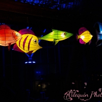 event_light_nights_aqualuna_2022_046