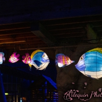 event_light_nights_aqualuna_2022_047