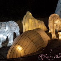 event_light_nights_aqualuna_2022_050