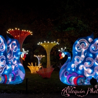 event_light_nights_aqualuna_2022_054